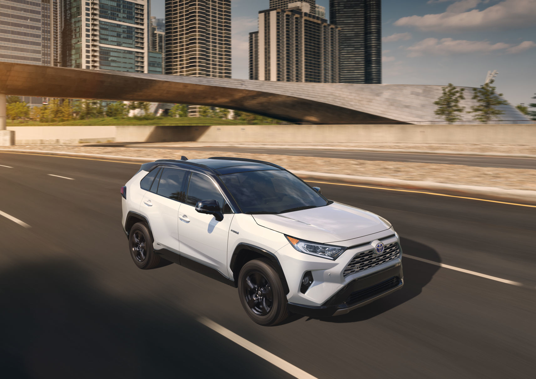4. 2019 Toyota RAV4